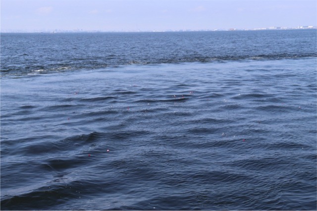 散骨海域を旋回