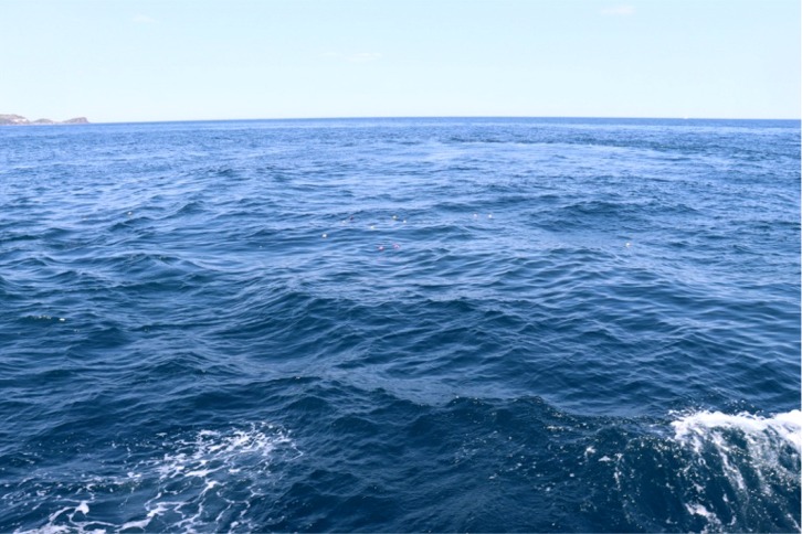 b6d70df73110d4f80aba7b555bcae72e