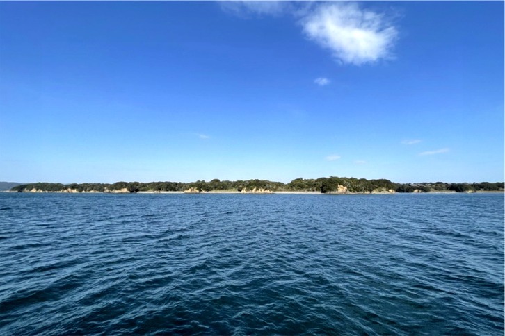 imgi_100_505a5557d441b8798a1ba0136097de20