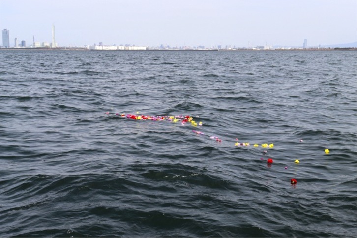 imgi_107_a90a7e74808d6aed7707ea4ab152c971