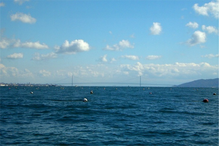 imgi_112_56b5429a2f202bafe4865fbbe446253b