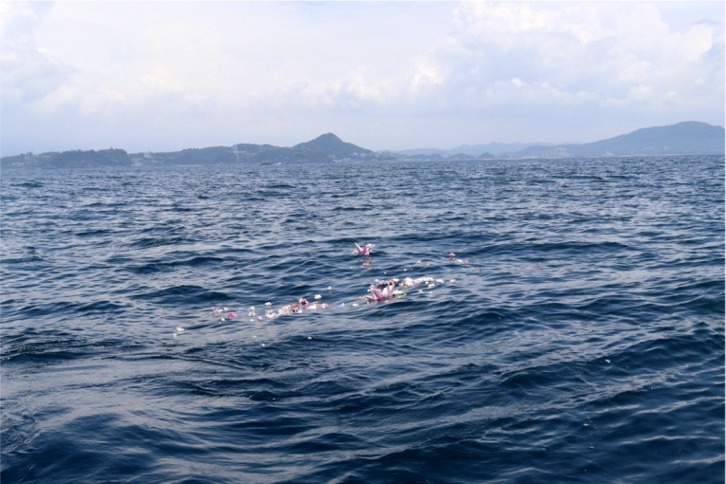 imgi_117_ffccaa4e1c58d19bc42e6dfafd2162ec