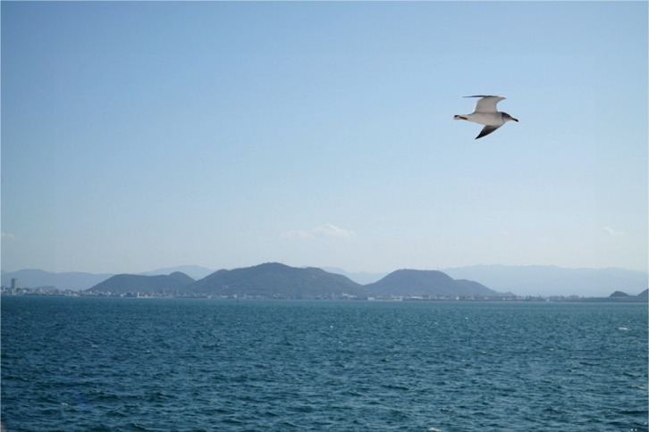 imgi_126_b268c27718068dc4b56943ea780d175f