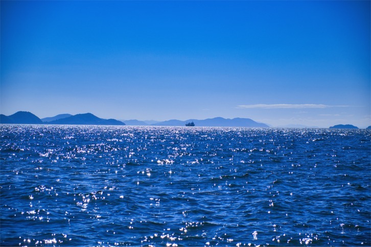 imgi_135_7f979bee698c0d1ea7f717c0c0466969