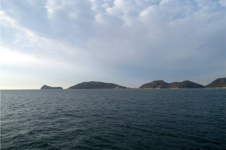 imgi_136_709dd7c222cbbe3e4eea6c112d1f8f60