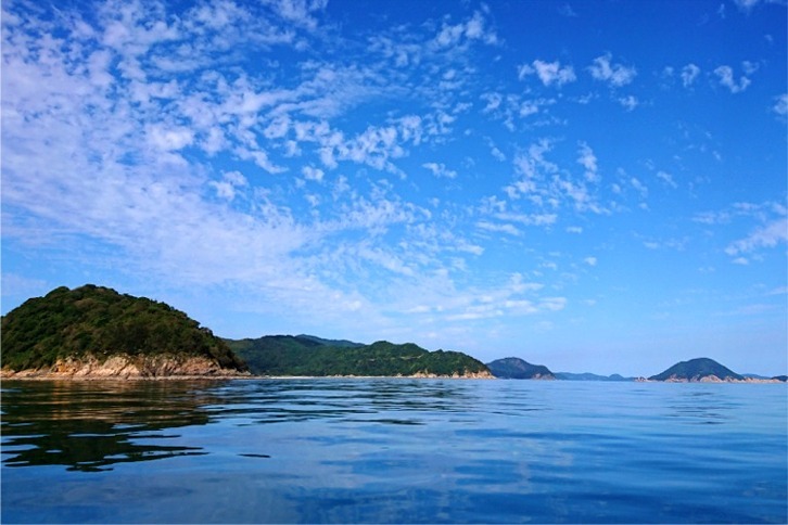 imgi_137_e2be51f29b110563905b85d0626269eb