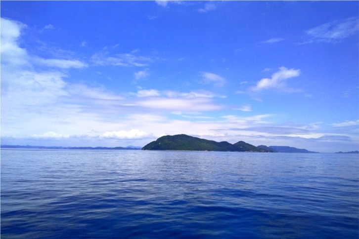 imgi_147_a157b3155724fa39c800db3b1f48767a-1