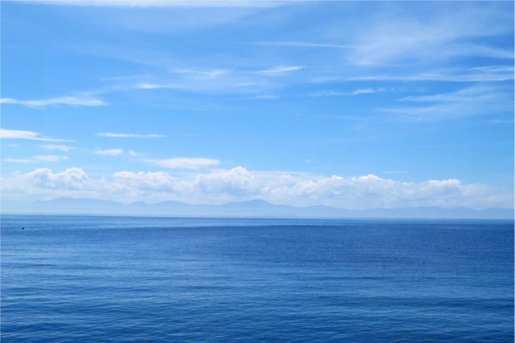 imgi_152_d3850761ec13365c64f821bdc5cc9857-1