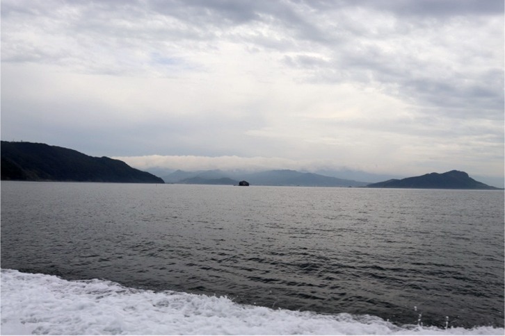 imgi_165_146f89d1c2f0167fea648b8d3ccdcbd1