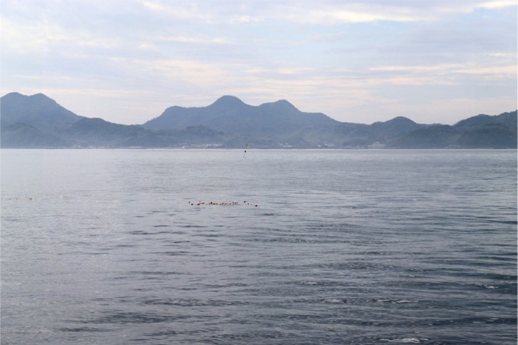 imgi_167_1f850516b0ae96961738e67ad322b1b7