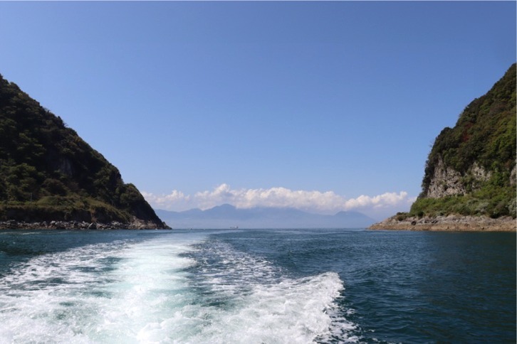 imgi_175_6839fbadb02fe4854496dbdeef89ea2e