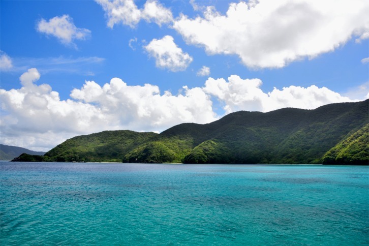 imgi_195_f0e7a6168fcee9c65241e415dfc30619