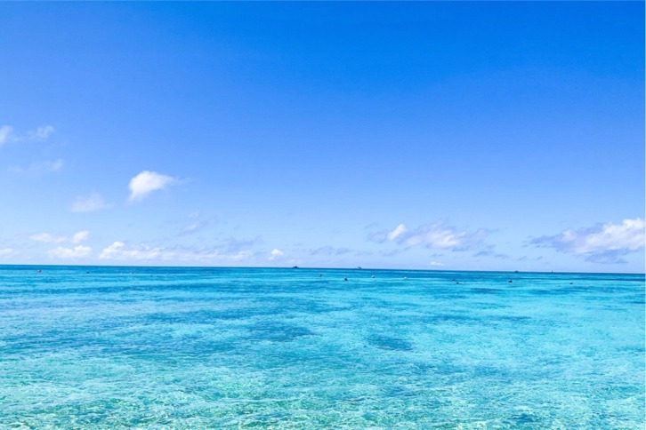 imgi_202_bd3e5f80800c613fc1746b27eb5cb3d5