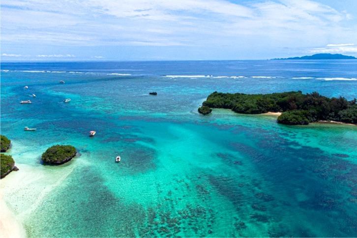 imgi_212_f1f354746398292335eccd6d32c959f8