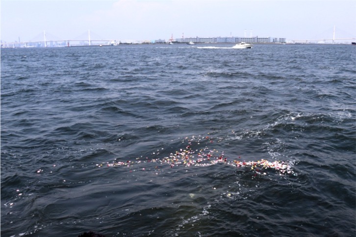 imgi_57_69c4ee4c22e6e0fd0efa014e8f4557c4