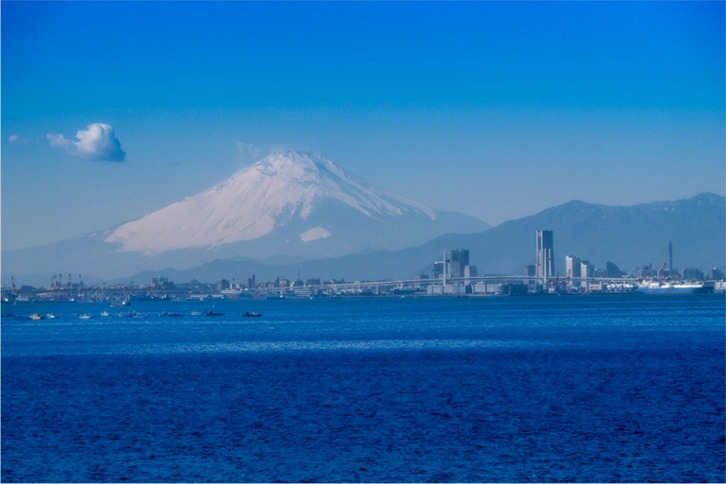 imgi_58_b58cc70db3bad69ee44f89c0ae8c3611