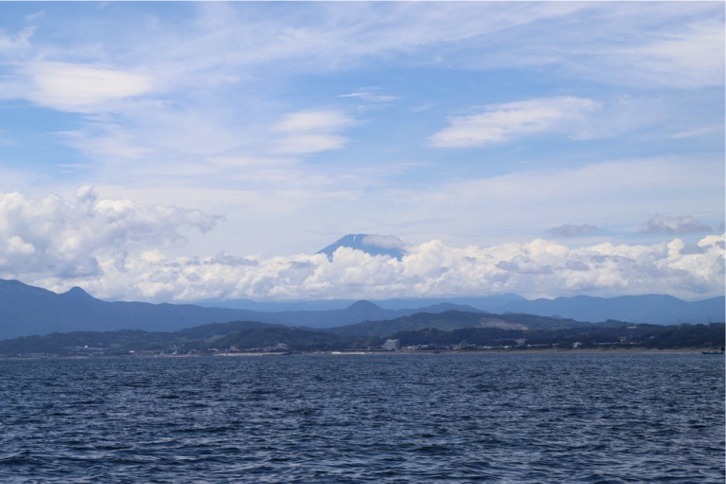 imgi_61_1a616682c0d7393c1edc8808434f55ec