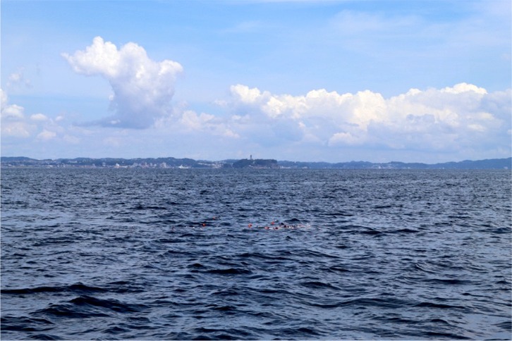 imgi_62_327a134e4d08b632a28b7da28f4d3994