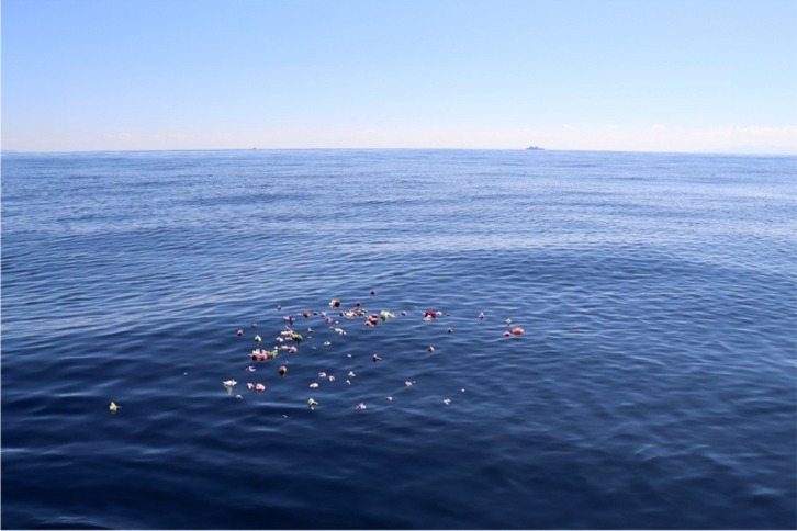 imgi_67_1ca4d5525bb4c0761a6ea77d466bc574