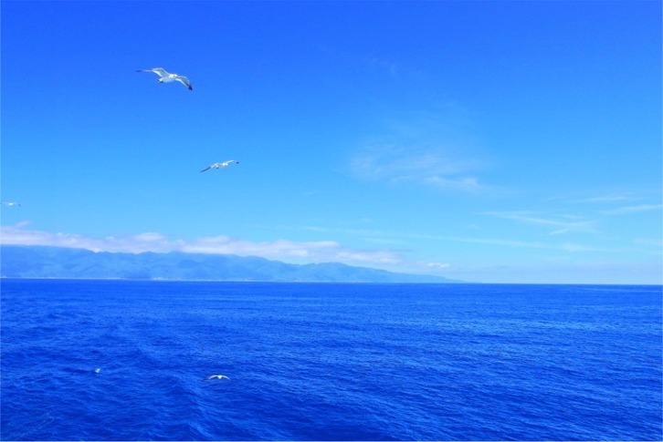 imgi_72_81a8d1d94a64d0376fe38e8c20e4f6c0