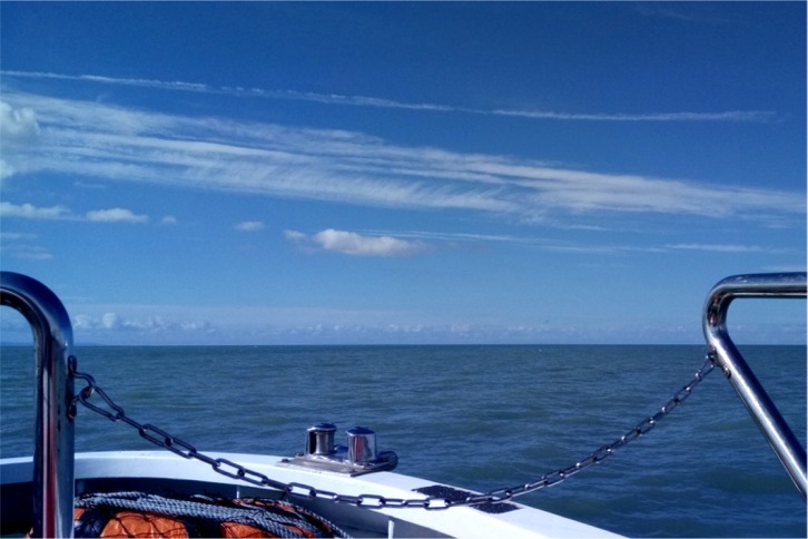 imgi_75_622e7a062f4ab48bc055d2b39f4f5c20