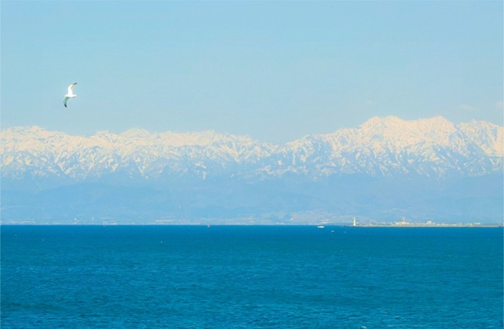 imgi_77_3a1daf9193f88d3a008b4da9031c03c8