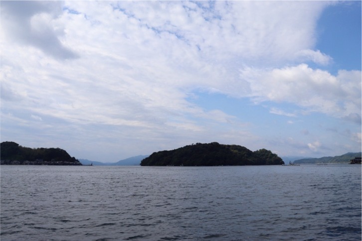 imgi_84_a0c40bcc9f00f2cec3cd9613c8b233ca