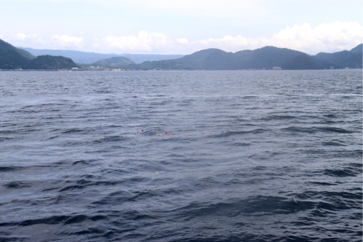 imgi_91_4c23ee36512345f2e914d7a0f7334725